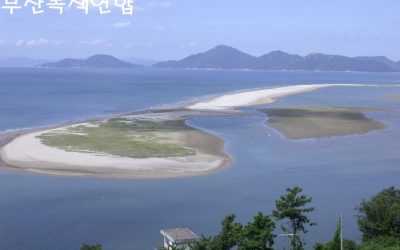 아미산에서 내려다 본 낙동강하구