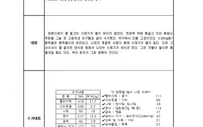 9,10,11,12월 바다정화