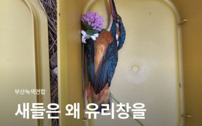 “새 친구 프로젝트”를 시작합니다!