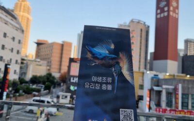 [후기] 동래구혁신어울림센터에서 “새 친구 프로젝트”를 진행했습니다.